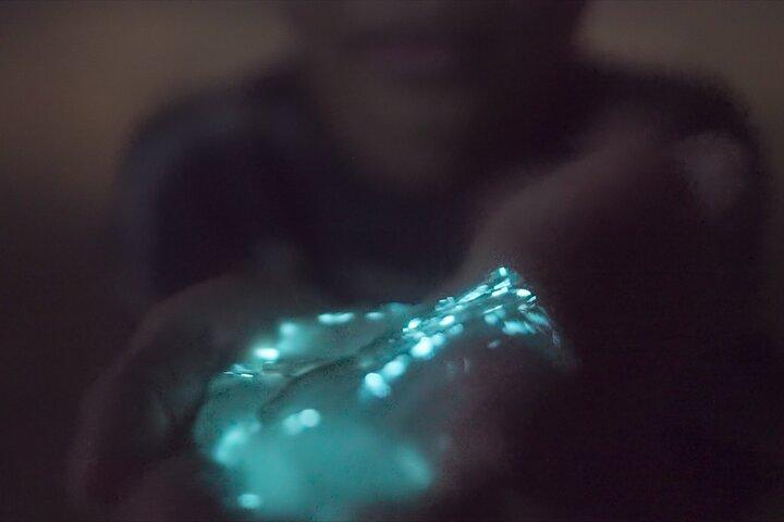 Bioluminescence Kayak Tour