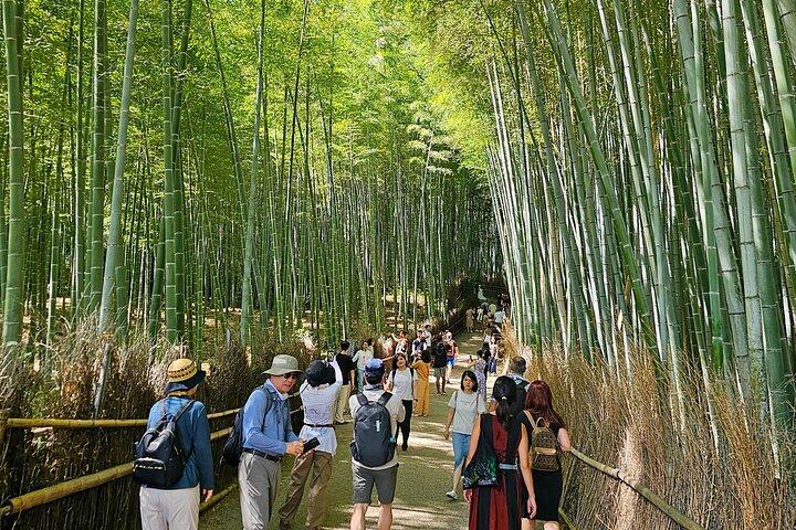 Kyoto's Arashiyama Bamboo Grove: 3-Hour Guided Tour