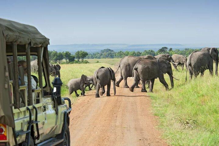 5 Days Maasai Mara And Riftvalley Lakes Safaris