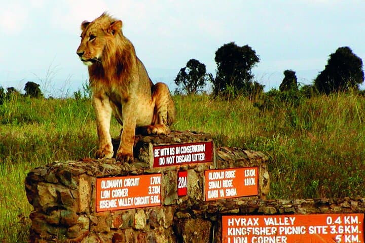 Private Tour Nairobi National Park, Giraffe Centre, Karen Blixen