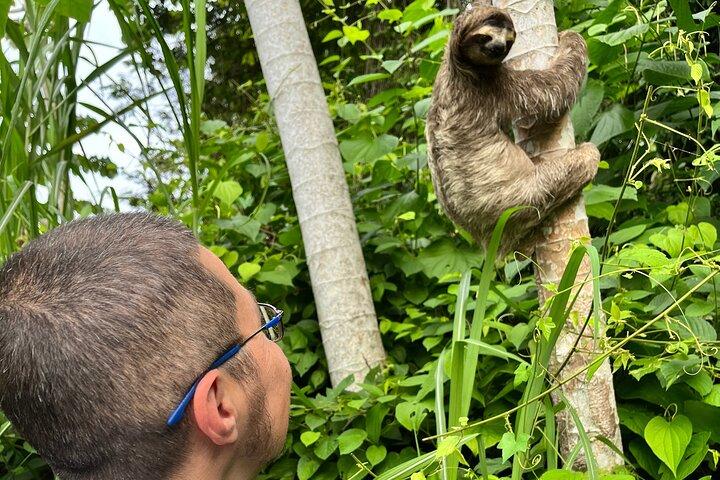 Private Panama Canal Boat + Wildlife Search