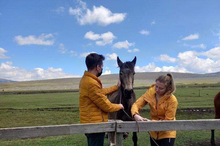 Cotopaxi Horseback Riding Tour from Quito – Andes Adventure