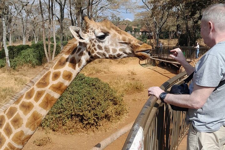 Giraffe Centre and Elephant Orphanage Guided Tour In Nairobi.