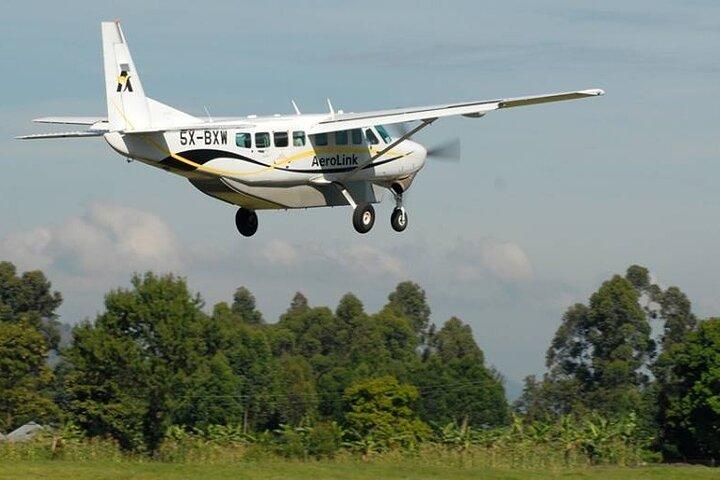 8 Days Kenya Flying Safari Tour with Serena Lodges Accommodation