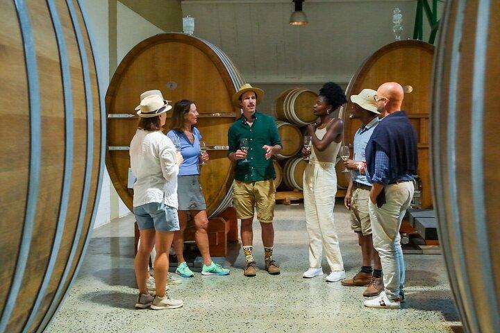 Constantia Wine and Storytelling Tour with Lunch From Cape Town