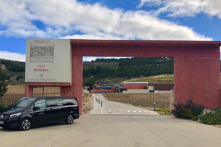 Private Transportation to Ribera del Duero by Minivan