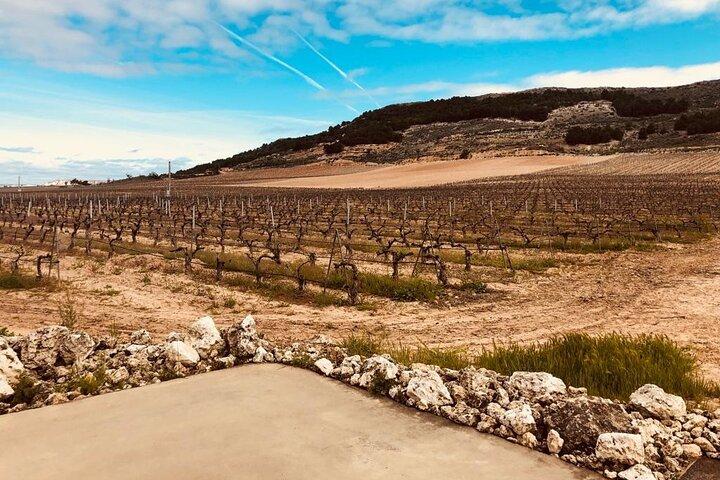 Private Transportation to Ribera del Duero by Minivan