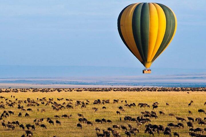 3 Days Private Tour in Maasai Mara With 4*4 Vehicle