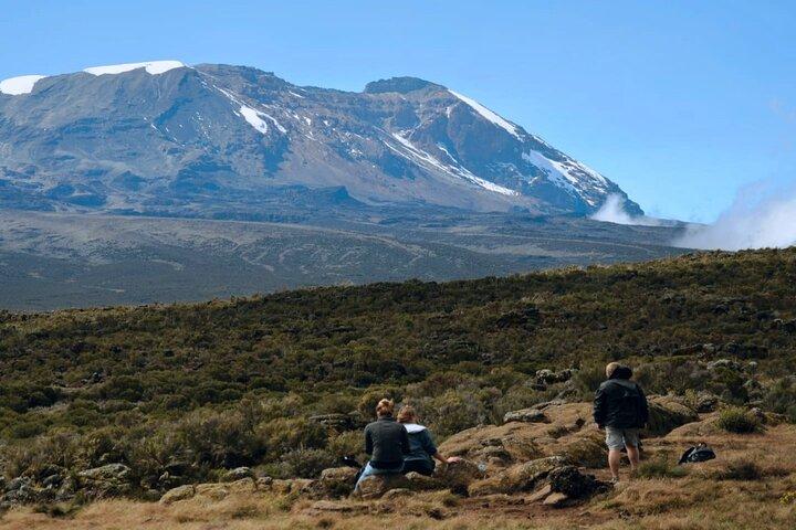 Private 1 Day Hike in Kilimanjaro Mountain