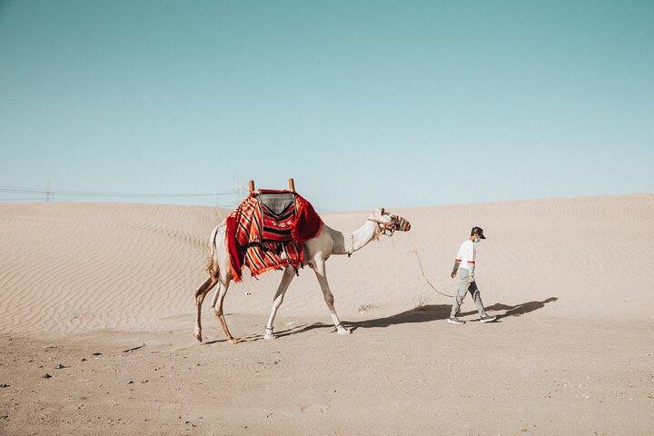 Quad Bike Tour in Jeddah