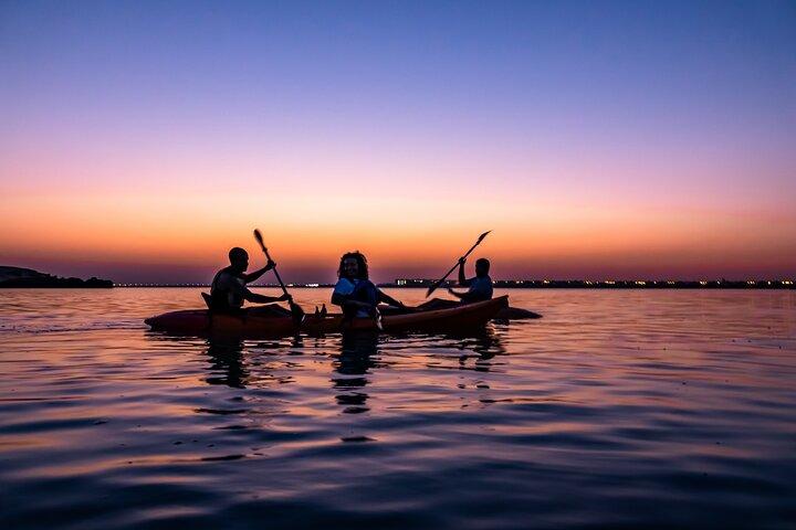 4 Hours Purple Island Mangroves Kayaking Adventure in Qatar