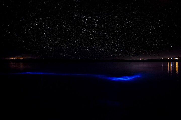 Luminous Lagoon Guided Tour In Montego Bay