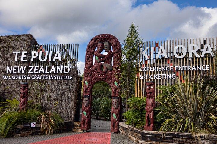 3 Day Hobbiton Rotorua Waiotapu Taupo and Waitomo Caves Tour
