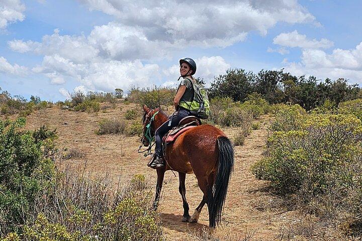 Sacred Valley: 3 Hours Horse Riding Tour at Huaypo Lagoon