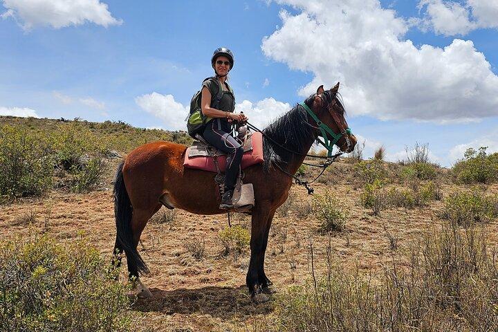 Sacred Valley: 3 Hours Horse Riding Tour at Huaypo Lagoon