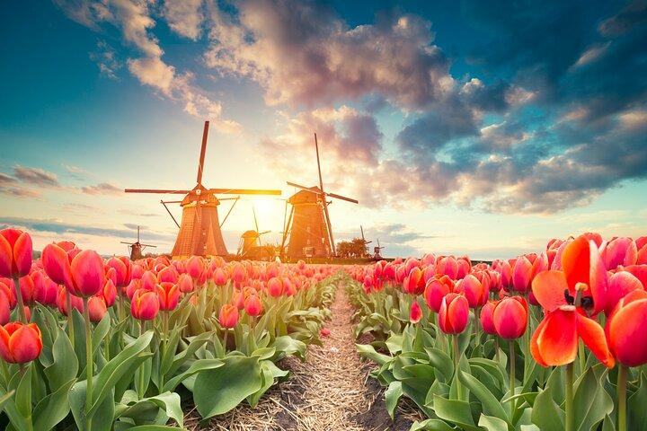 Full Day Private Kinderdijk Photography Tour from Rotterdam port