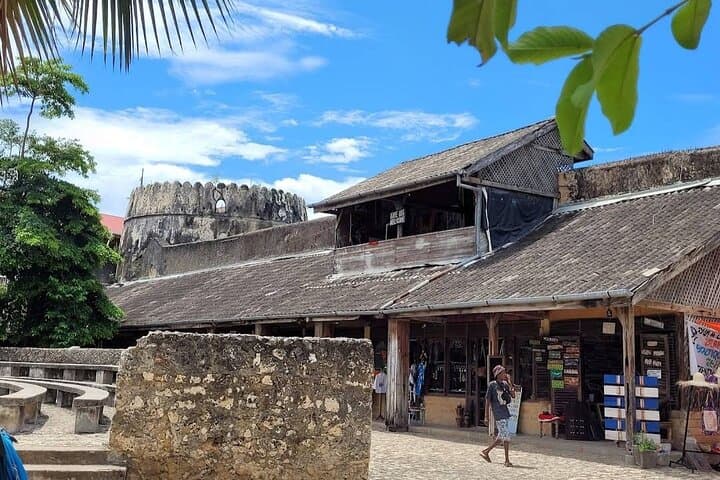Ultimate Mnemba Dolphins, Spice Farm & Stone Town Day Tour