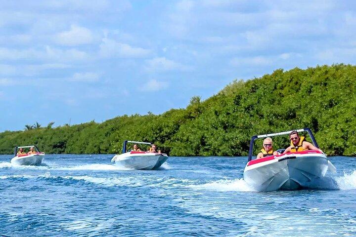 SpeedBoat Shared Jungle Tour + Snorkel Experience in Cancun