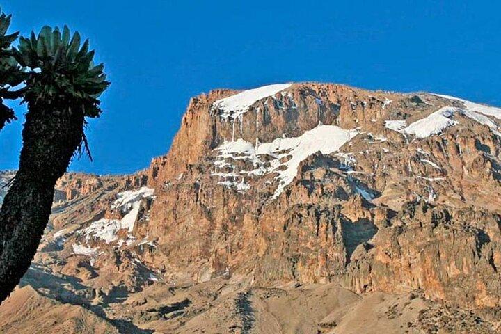 Climbing Kilimanjaro - Machame Route