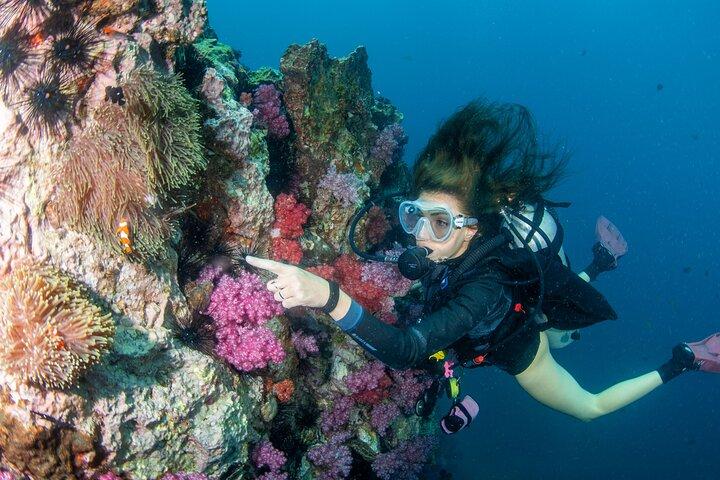 Scuba Diving Daytrip to Racha Yai Island