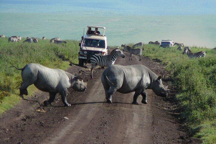 1 Day Ngorongoro Crater Group Jioning Safari