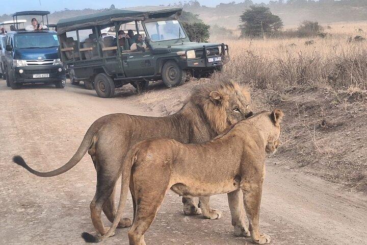 Nairobi National Park, Elephant Orphanage and Giraffe Centre