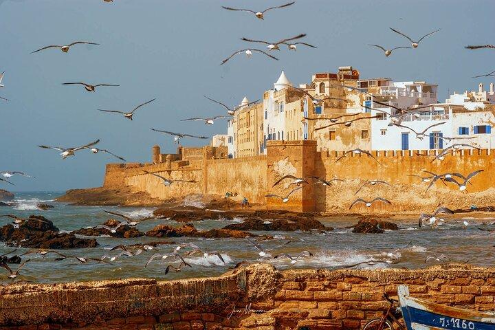 From Marrakech: Full-Day Trip to Essaouira City