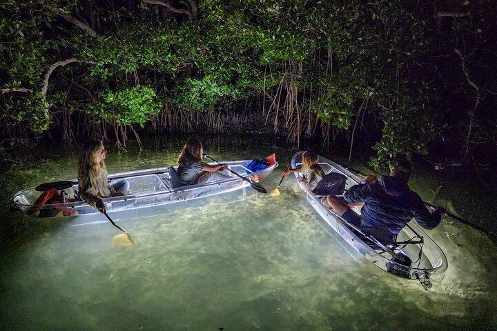 Siesta Key, FL - Clear Kayak LED Night Glass Bottom Tour