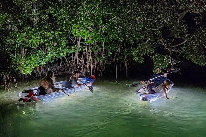 Siesta Key, FL - Clear Kayak LED Night Glass Bottom Tour