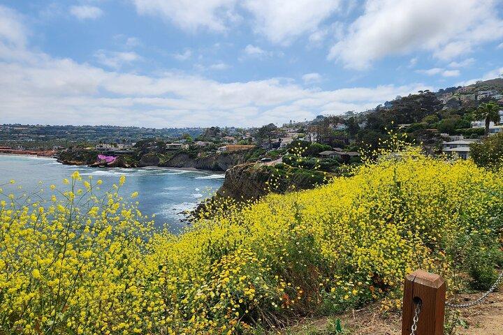 La Jolla Coast & Cove Self-Guided Audio Walking Tour