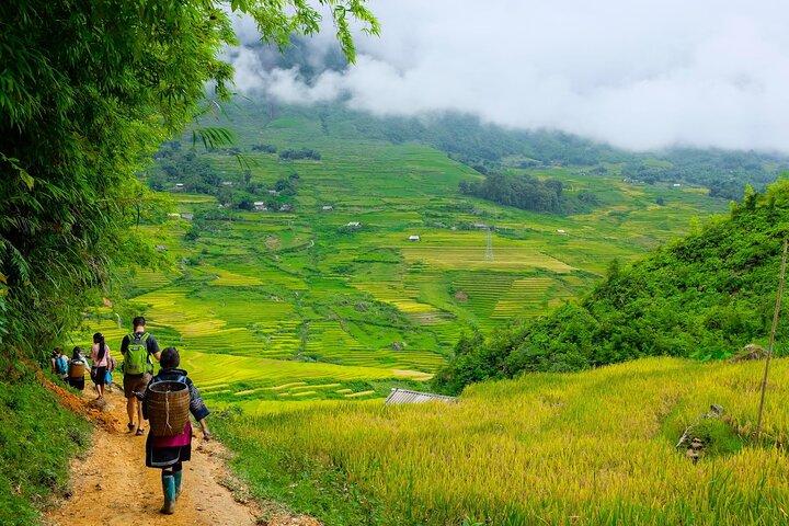 1 Day Sapa Authentic Trekking ( off beaten track )