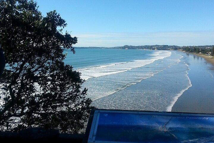 Private Auckland North Eastern Coast Tour