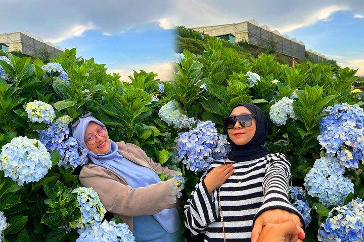 Da Lat Flower City 2 Days 1 Night Tour From Ho Chi Minh