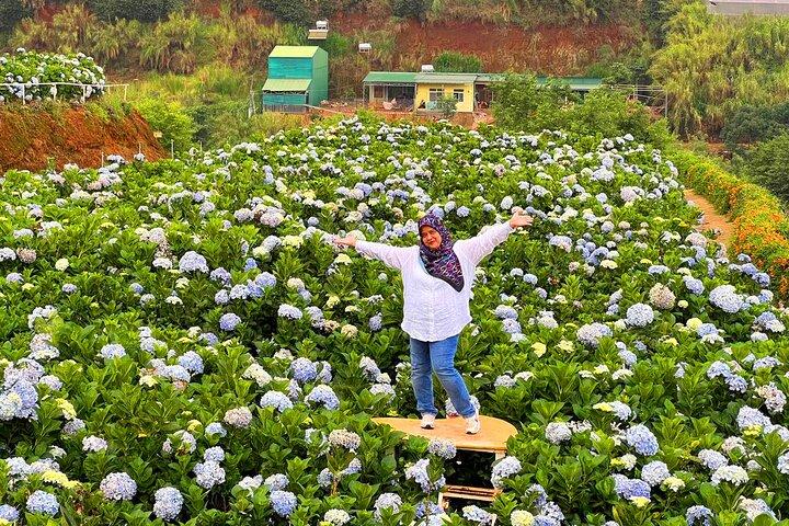 Da Lat Flower City 2 Days 1 Night Tour From Ho Chi Minh