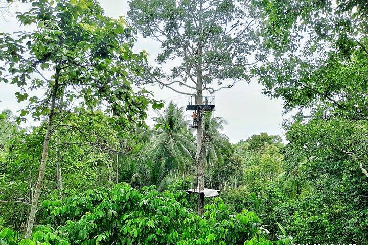 ATV And Zipline Experience on Koh Samui with Transfer