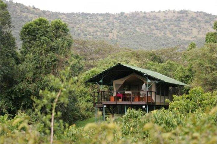3-Day Mid-Range Jambo Masai Mara Safari on 4x4 Land Cruiser Jeep