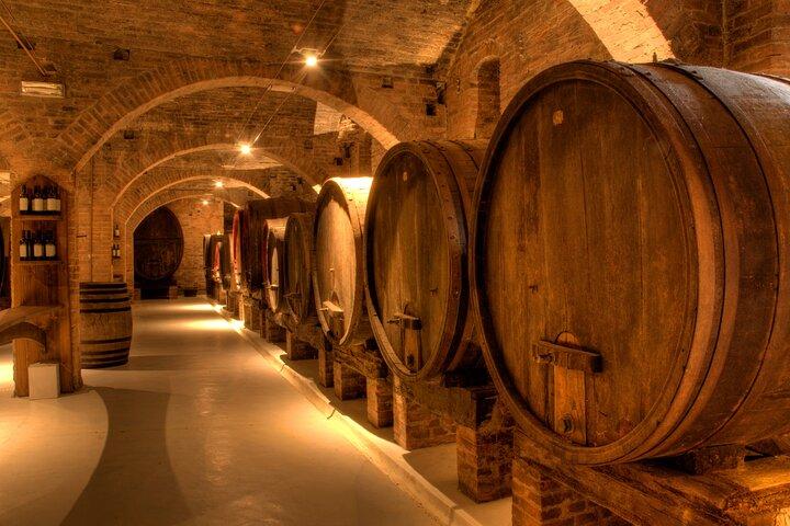 Wine Route Half Day Tour in Cape Town