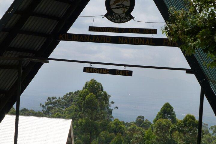 7 Day Kilimanjaro Machame climb