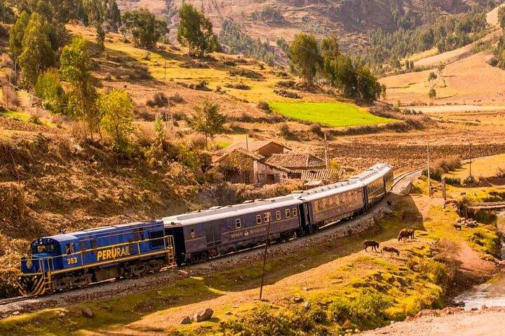 Machu Picchu in 1 Day from Cusco