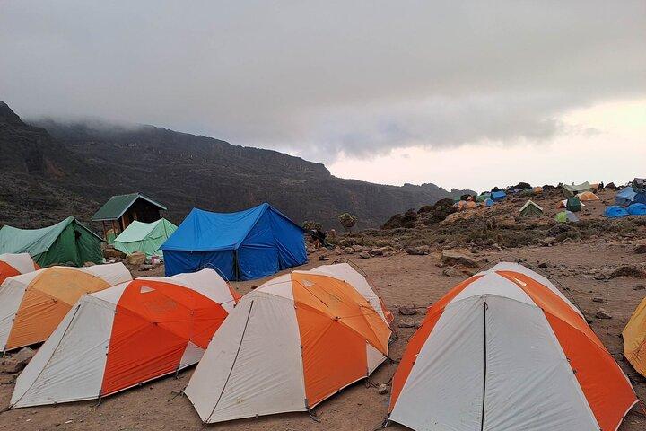 7-Day Walking Tour in Machame Route