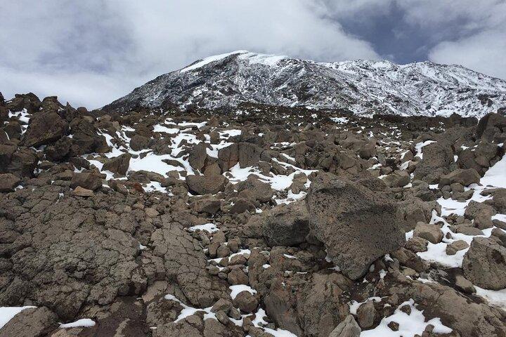 8-Day Hiking Tour Lemosho Route in Tanzania