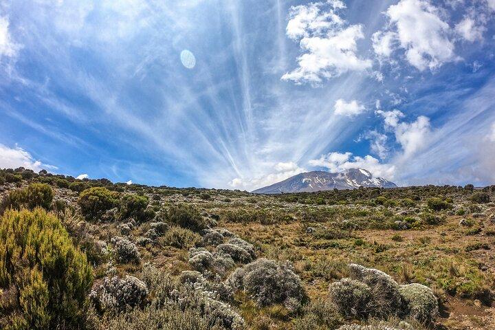 8-Day Hiking Tour Lemosho Route in Tanzania