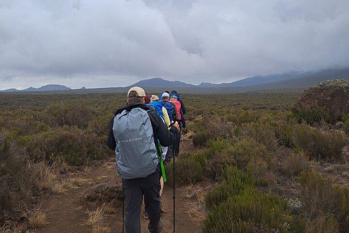 8-Day Hiking Tour Lemosho Route in Tanzania