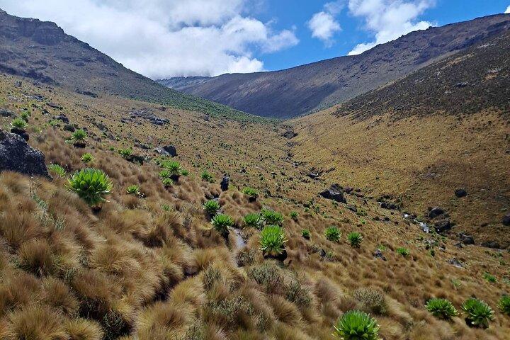 6 Day Marangu Tour
