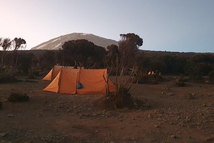 6 Day Marangu Tour