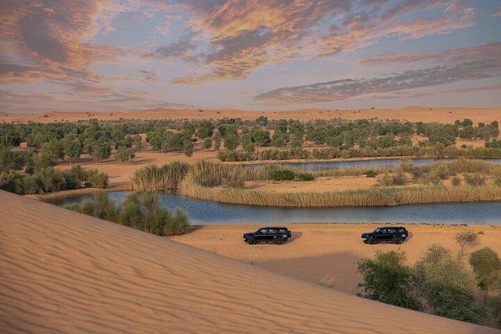 Dubai: Luxury Morning Desert Conservation Drive