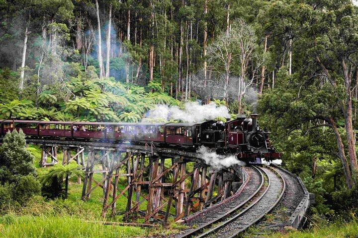 Brighton Bath Boxes & Puffing Billy & Penguin Parade 1-Day Tour