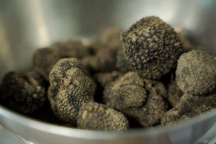 Truffle hunting + gourmet tasting (transfer included)