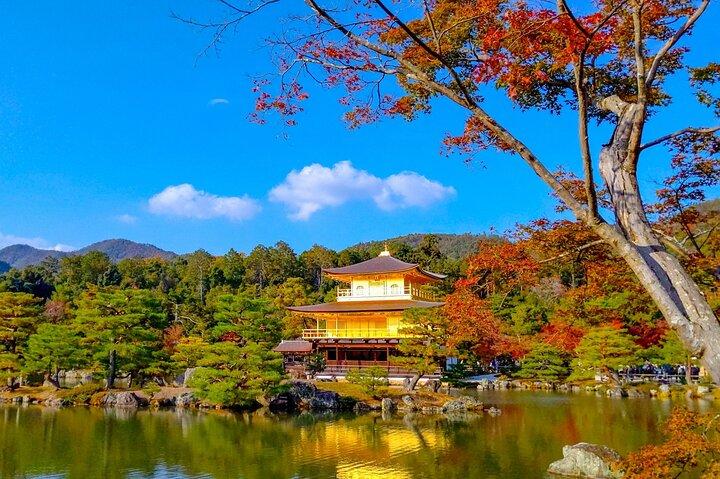 Kyoto Highlights Private Tour with Local driver (guide option)