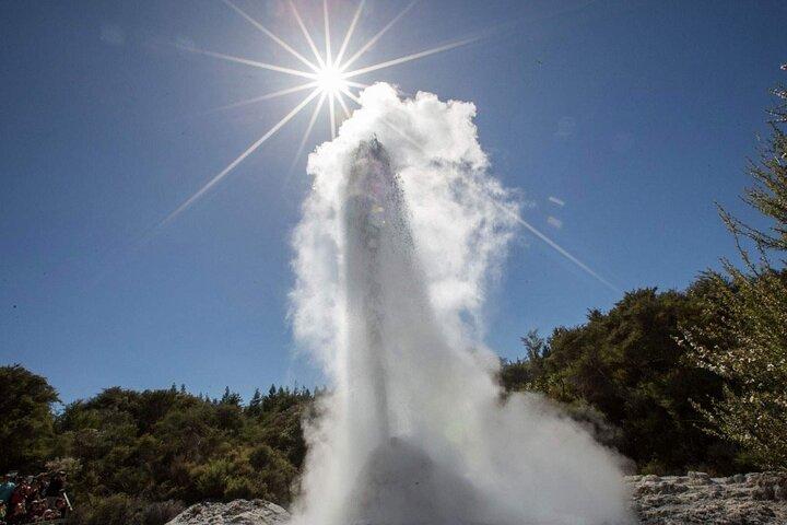 Wai-O-Tapu to Redwoods and Secret Spot Private Tour from Auckland